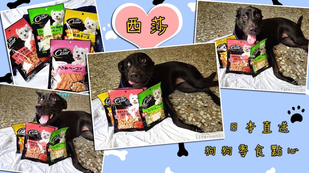 西莎狗零食點心 coverphoto.jpg