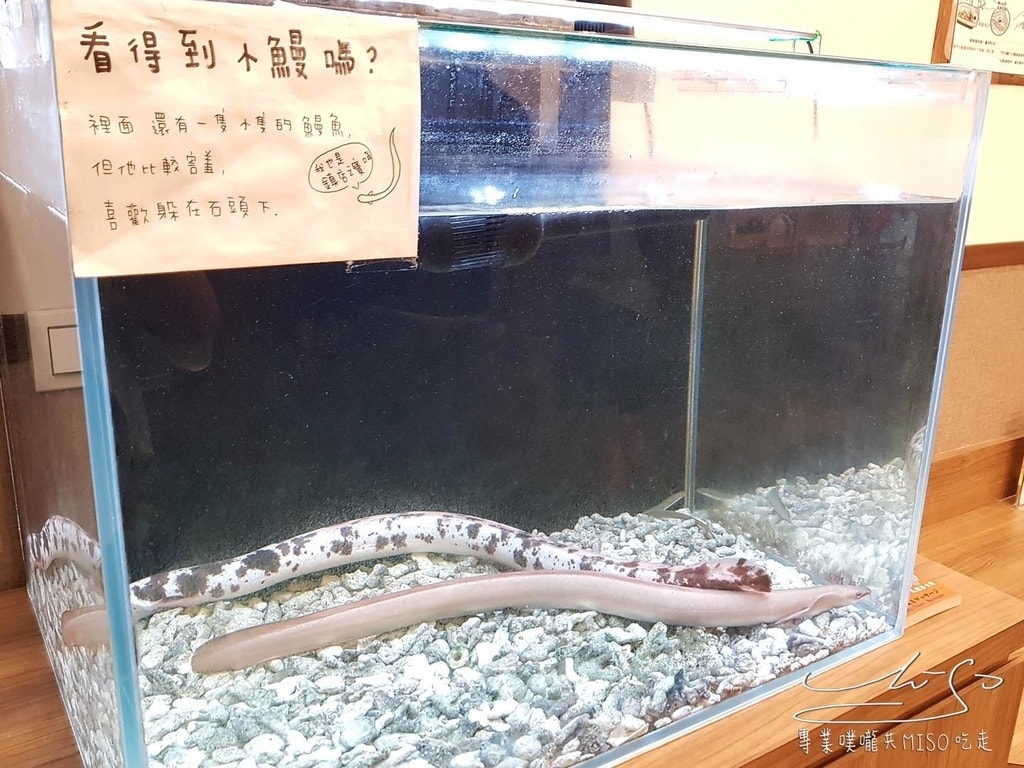 專業噗嚨共MISO吃走 三河中川屋名古屋鰻魚飯 (10).jpg