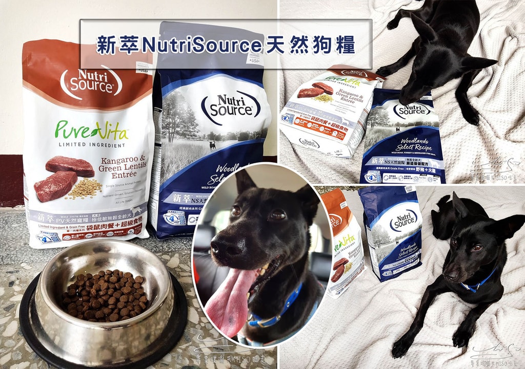 專業噗嚨共MISO吃走 新萃NutriSource 天然狗糧 coverphoto.jpg