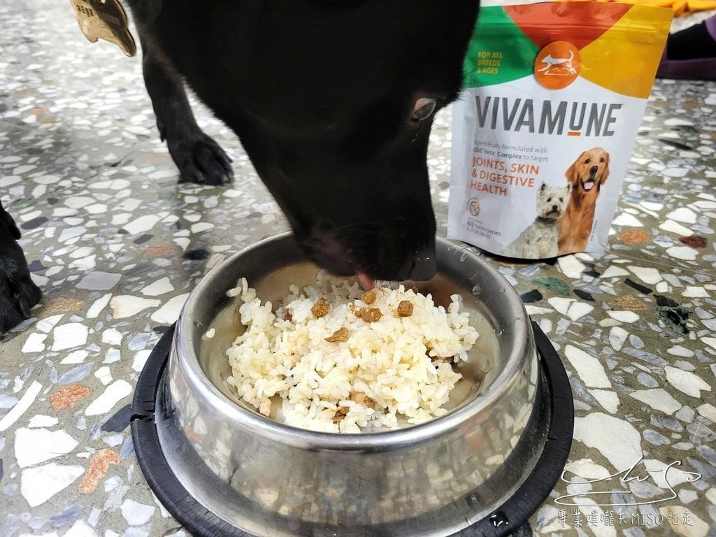 美國威旺VIVAMUNE犬用保健品 寵物保健食品推薦 專業噗嚨共MISO吃走 (26).jpg