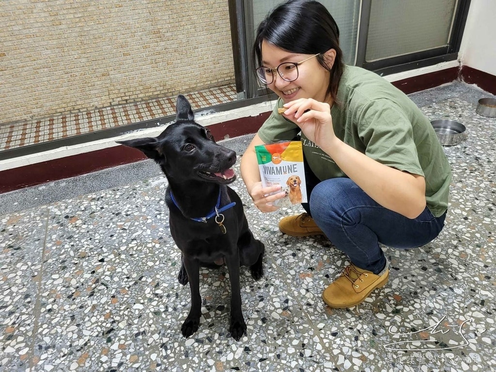 美國威旺VIVAMUNE犬用保健品 寵物保健食品推薦 專業噗嚨共MISO吃走 (16).jpg