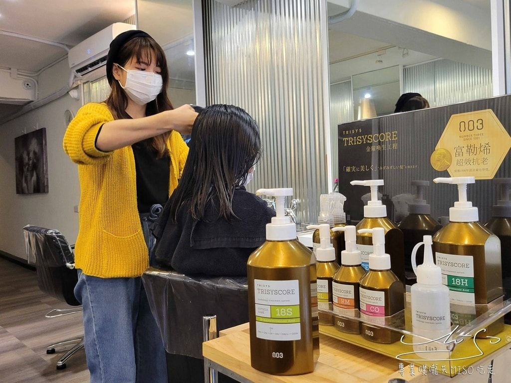 尤里卡 EUREKA Hair Salon 松山髮廊推薦 台北護髮推薦 專業噗嚨共MISO吃走 (43).jpg