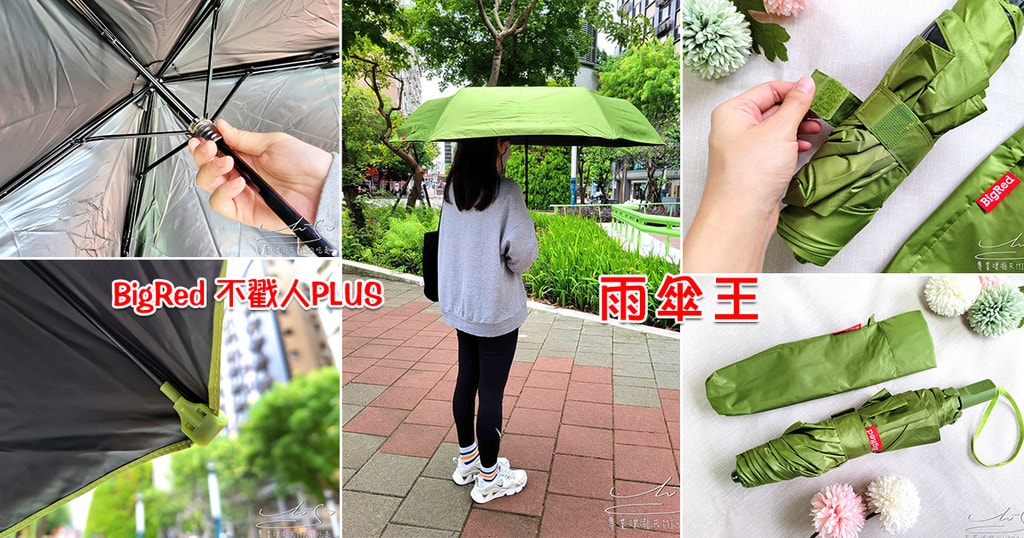 雨傘王 BigRed 不戳人PLUS 輕巧雨傘25吋超大空間 專業鋪龍共MISO吃走 coverphoto.jpg