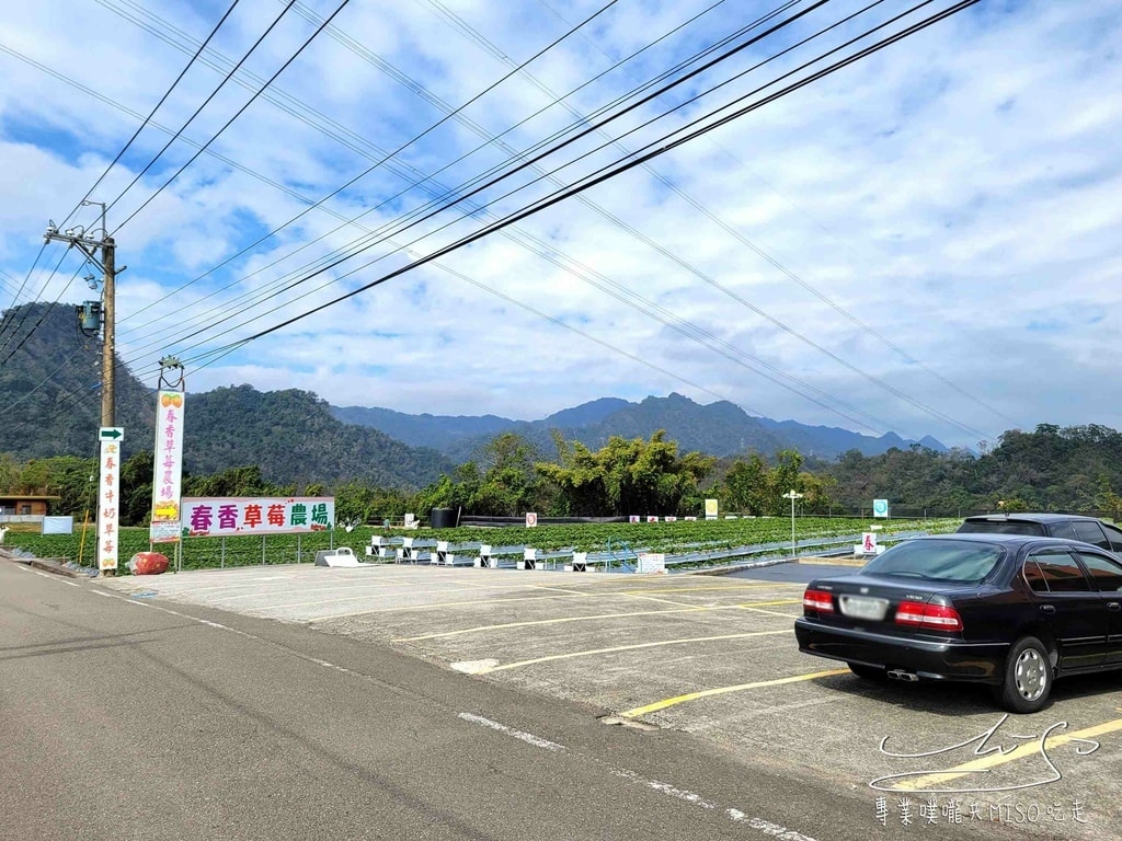 春香草莓農場 苗栗採草莓 大湖草莓 高架草莓園 專業噗嚨共MISO吃走 (1).jpg