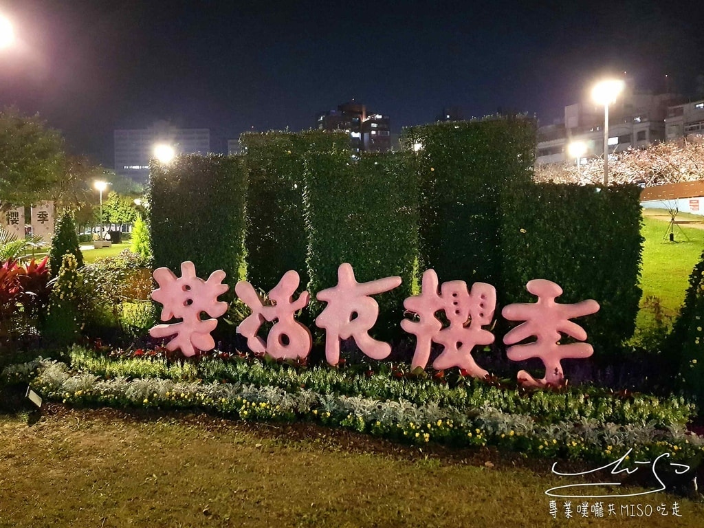 樂活夜櫻季 東湖公園櫻花 台灣賞櫻景點 專業噗嚨共MISO吃走 (4).jpg