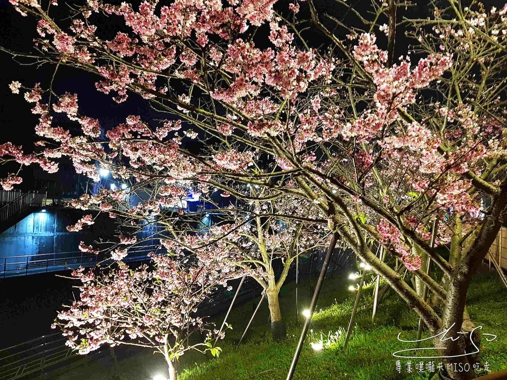 樂活夜櫻季 東湖公園櫻花 台灣賞櫻景點 專業噗嚨共MISO吃走 (6).jpg