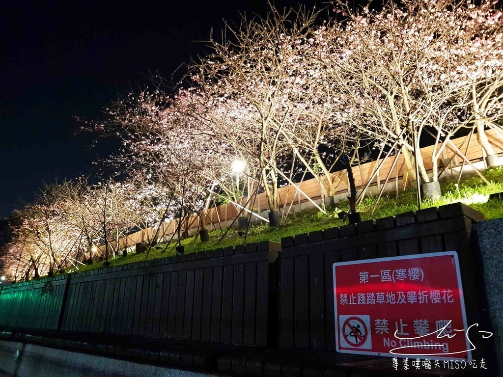 樂活夜櫻季 東湖公園櫻花 台灣賞櫻景點 專業噗嚨共MISO吃走 (24).jpg