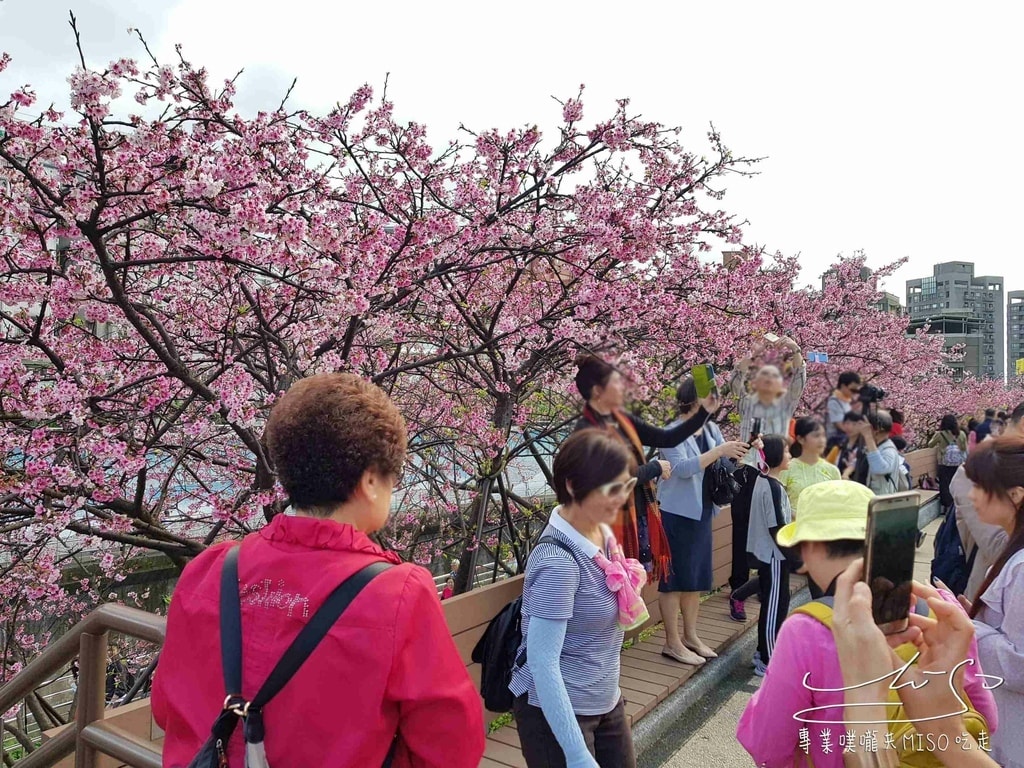 樂活夜櫻季 東湖公園櫻花 台灣賞櫻景點 專業噗嚨共MISO吃走 (56).jpg