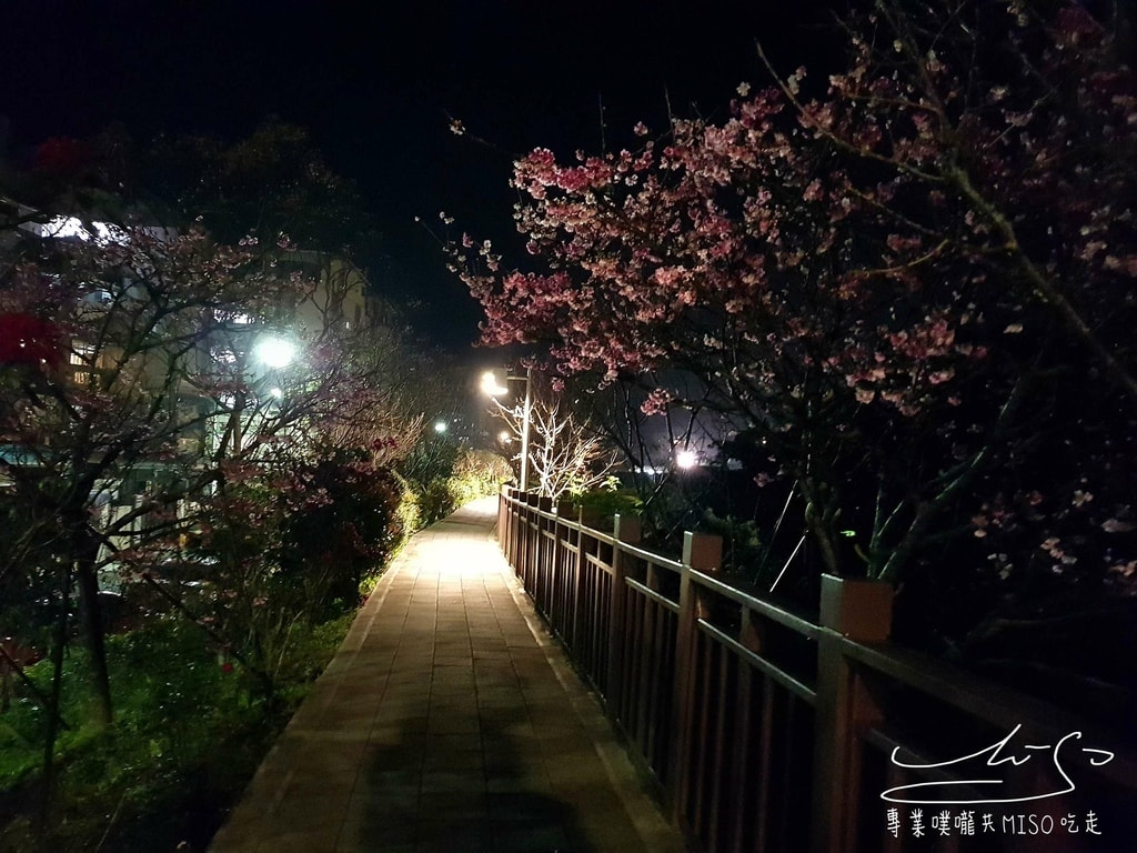 樂活夜櫻季 東湖公園櫻花 台灣賞櫻景點 專業噗嚨共MISO吃走 (43).jpg