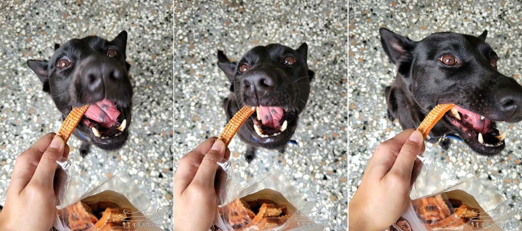 寵物零食 燕麥磨牙棒-雞肉山藥 狗狗零食 專業噗嚨共MISO吃走 (9).jpg