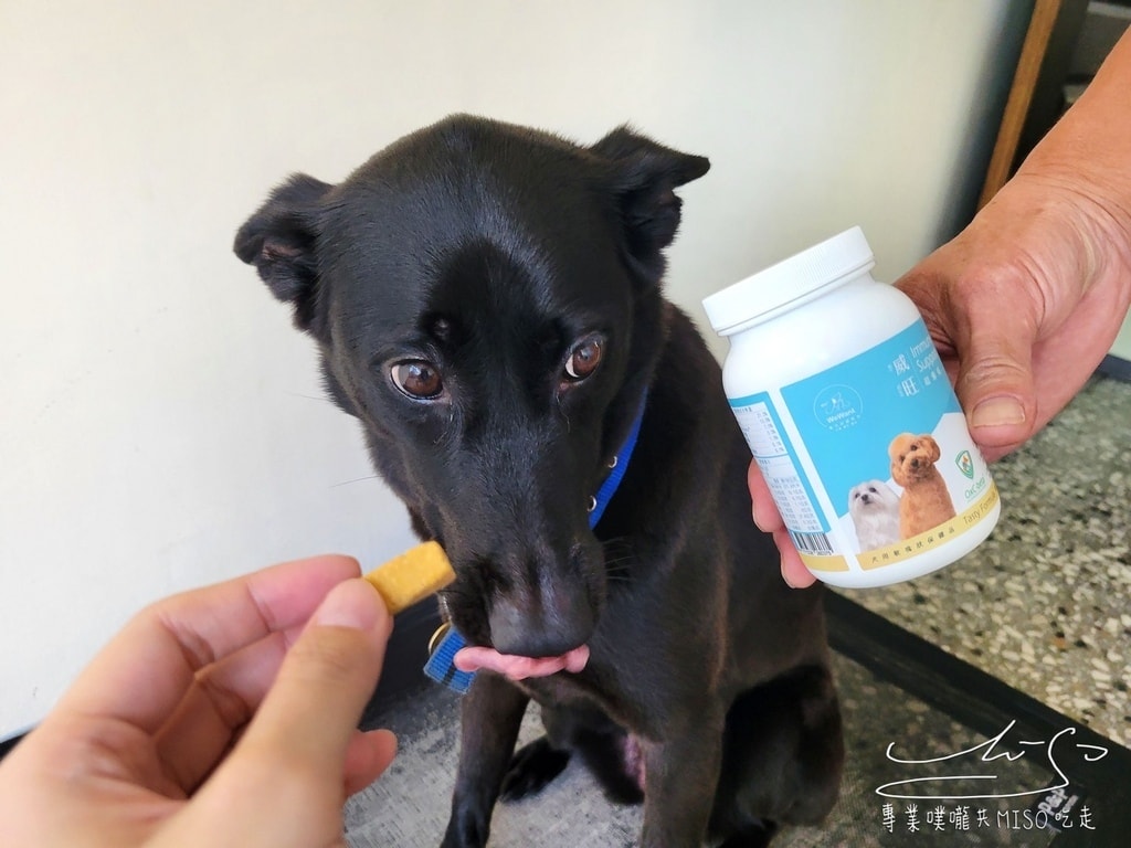 威旺超優疫犬用保健品-全素食三效合一保健配方 狗狗保健 狗狗益生菌 水壺 專業噗嚨共MISO吃走 (6).jpg