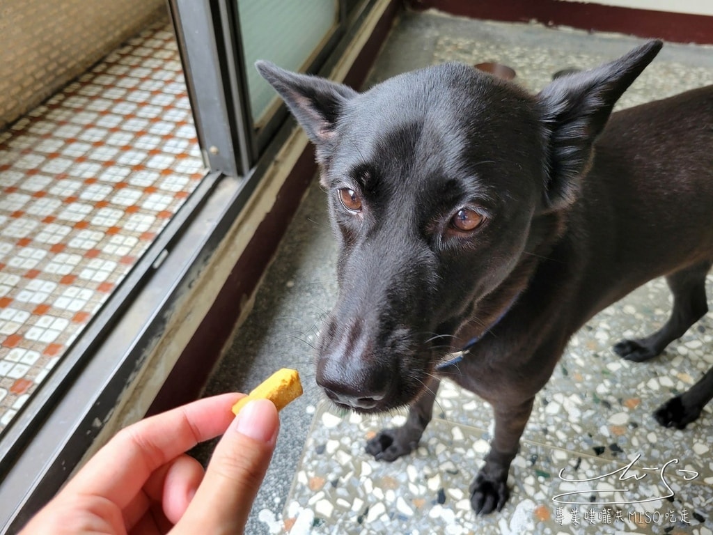 威旺超優疫犬用保健品-全素食三效合一保健配方 狗狗保健 狗狗益生菌 水壺 專業噗嚨共MISO吃走 (7).jpg